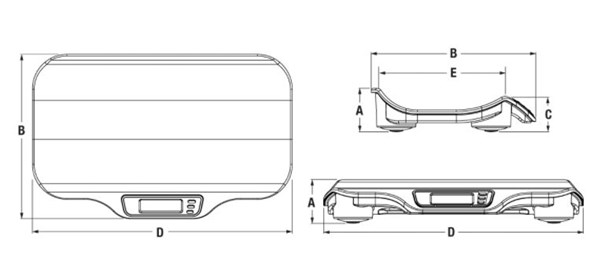 Industrial Scale Inc. | Rice Lake VS-10 Digital Scale