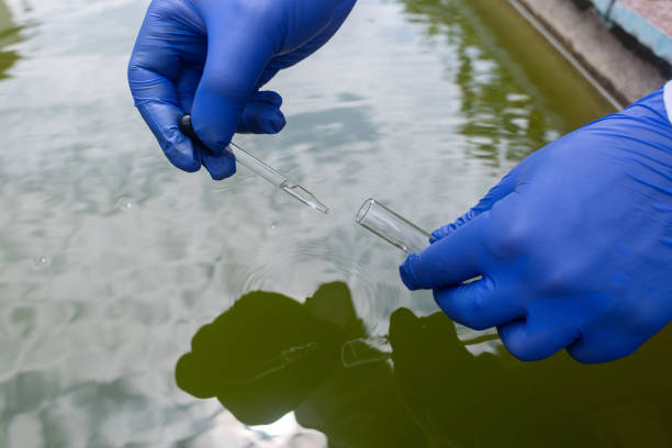 Industrial Scale Inc. | How Industrial Weighing Systems Help Manage Water Treatment Chemicals